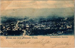 1901 Bozovics, Bozovici; Almáser Thale, Sommerfrische / látkép, villák / view, villas (EM)
