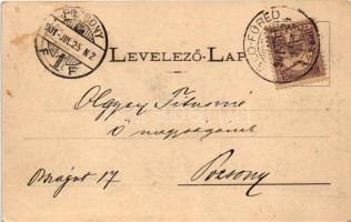 1901 Iglófüred, Bad Zipser Neudorf, Spisská Nová Ves Kupele, Novovesské Kúpele; Millenium szálló. Wl...