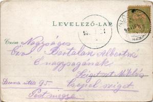 1905 Iglófüred, Bad Zipser Neudorf, Spisská Nová Ves Kupele, Novovesské Kúpele; szálloda, fürdő. Wla...