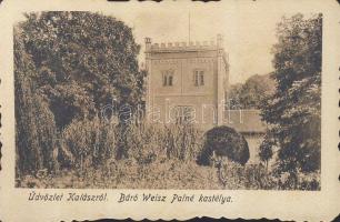 Kalász the castle of Baron Weisz Palné
