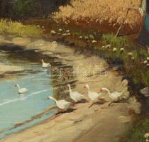 Fülöp F jelzéssel: Libapásztorlány. Olaj, vászon. Javított. Kissé sérült. Dekoratív, antik, kissé sé...