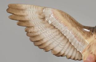 Herendi Turul madár, Kézzel festett, jelzett, sérült. 31x21 cm