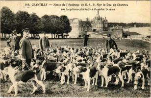 Chantilly, Meute de l'équipage de S.A.R. Mgr le Duc de Chartres sur la pelouse devant les Grandes Ecuries / Duke of Chartres' beagles