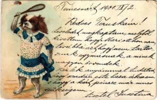 1901 Tollaslabdázó kutya / dog playing badminton. litho (EM)