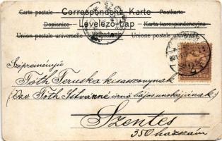 1901 Tollaslabdázó kutya / dog playing badminton. litho (EM)