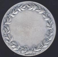 Svédország 1945. Södertörns "Mezőgazdasági Kongresszus" Ag érem T:2 / 39,1g