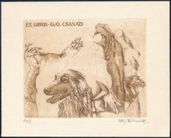 Bálint Ferenc (1960-): Ex libris Gál Csanád (Könyvjegy kutyaábrázolással). Rézkarc, aquatinta, papír...