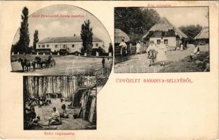 1908 Sellye, Baranya-Sellye; Gróf Draskovich István kastélya, régi talpasház, erdei cigánytelep. Art...