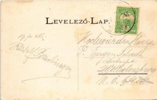 1908 Sellye, Baranya-Sellye; Gróf Draskovich István kastélya, régi talpasház, erdei cigánytelep. Art...