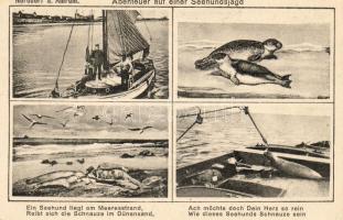 Norddorf, Seehundsjagd