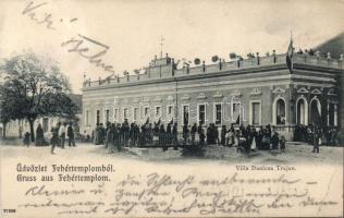 Fehértemplom Villa Danicza Trajan (wet damage)