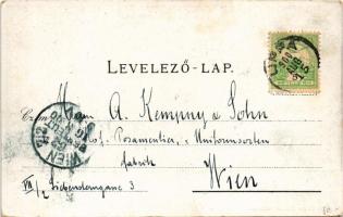 1900 Lippa, Lipova; utca, piac. Gregor Fischer kiadása / street view, market (EK)