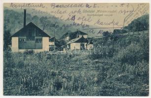 1908 Gyertyánliget, Polyana-Gyertyánliget, Kabola Polyána, Kobyletska Poliana (Máramaros, Maramures); vasgyár. Wizner és Dávid kiadása / ironworks, iron factory (ázott sarok / wet corner)