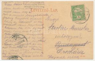 1908 Gyertyánliget, Polyana-Gyertyánliget, Kabola Polyána, Kobyletska Poliana (Máramaros, Maramures)...