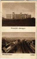 1926 Mosonszentjános, Jánossomorja; Franck-féle cikóriagyár, látkép (fl)