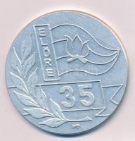 1981. "Előre 35 / Magyar Úttörők Szövetsége Országos Tanácsa" kétoldalas Al emlékérem T:AU...