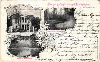 1903 Budapest VII. Fango gyógyító intézet, gyógyintézet Budapesten (Aréna út 60.), Fango kráter és t...