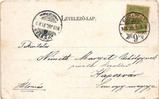 1903 Budapest VII. Fango gyógyító intézet, gyógyintézet Budapesten (Aréna út 60.), Fango kráter és t...