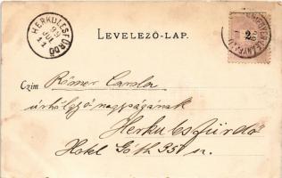 1899 (Vorläufer) Leányfalu, Római katolikus templom, Duna part, vendéglő, étterem. Divald Károly 144...