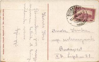 1925 Budakeszi, gyógyszertár. Neumann Márton kiadása (fa)