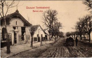 1908 Törökbálint, Baross utca. W.L. 4299. (EB)