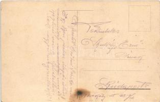 Tolna, Buday lak, villa (fl)