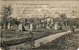 1909 Gödöllő, M. kir. méhészeti gazdaság (EM)