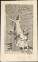 Cseh Gusztáv (1934-1985): Ex libris Deák Ferenc. Rézkarc, papír, jelzett, hátoldalán paszpartuzás ny...