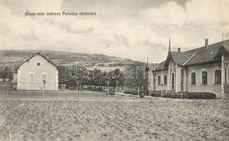 Pelsőc Blum Institute