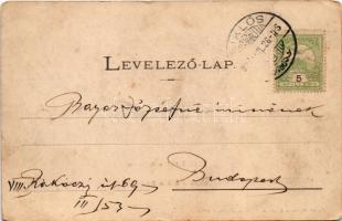 1907 Siklós, Röpülőhíd (repülőhíd) a Dráván, komp. Feiler Mariska kiadása (apró szakadás / tiny tear...