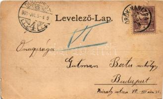 1901 Törökkanizsa, Nova Kanjiza, Novi Knezevac; közkórház, hajóhíd, Fő utca, római katolikus templom...