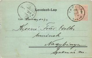 1899 (Vorläufer) Tarcsa, Tarcsafürdő, Bad Tatzmannsdorf; Gyógyudvar, Karolina villa, Miksa-forrás, A...