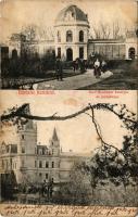 1910 Komját, Komjatice; Báró Wodianer kastélya és pálmaháza / castle, palm tree house (EM)