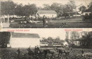 Csorvási Grehenek puszta Almády-major (wet damage)