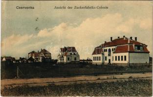 1914 Cservenka, Crvenka; Cukorgyári kolónia, munkástelep / Ansicht der Zuckerfabriks-Colonie / sugar...