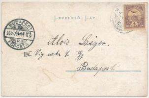 1900 Pancsova, Pancevo; M. kir. selyemfonoda, igazgatói lakás. K. Braun és társa kiadása, szecesszió...