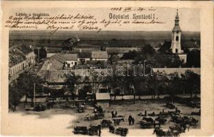 1908 Zenta, Senta; látkép a Tisza hídra, piac, üzlet / general view, bridge, market, shop (EK)