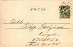 1908 Zenta, Senta; látkép a Tisza hídra, piac, üzlet / general view, bridge, market, shop (EK)