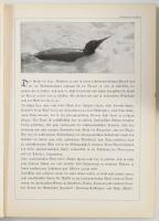 Die Blauen Bücher 10 kötete: Kinderbildnisse, Tiere in Schönen Bildern, Formen des Lebens. Gotische ...