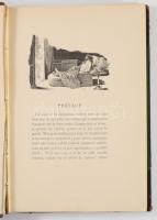 DAUDET Alphonse.: Robert Helmont. Journal d'un solitaire. Illustrations de Picard et Montegut. ...