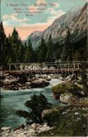 Tátra, Magas Tátra, Vysoké Tatry; Tarpataki völgy, fahíd. Divald Károly műintézete 1446.-1909. / Koh...