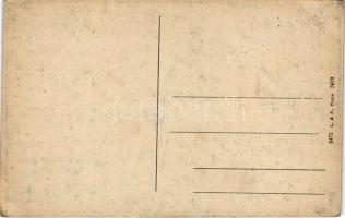 Jindrichuv Hradec, Neuhaus i. Böhmen; general view, castle (EB)