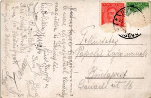 Beograd, Belgrade; Institute géographique, vu du Kalemegdan / geographical institute (EB)