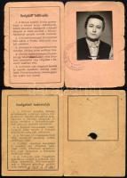 1943-1954 Felvonókezelő igazolványok, 2 db