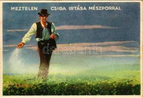 Meztelen csiga irtása mészporral. Klösz György és Fia / Hungarian agricultural propaganda, slug exte...