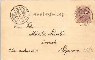 1899 Szabadka, Subotica; Park és Törvényszéki palota. Wilheim Samu kiadása / park, court (EK)