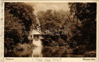 1927 Csákvár, Geszner ház. Tizian foto (EK)