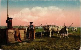 1918 Hortobágy, élet a Hortobágyon, gulya itatás, magyar folklór (EK)