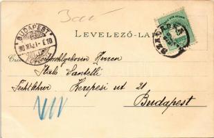 1898 Palics, Palic (Szabadka, Subotica); Fürdő. Vig Zsigmond Sándor kiadása / spa, bath. O.Z.M. Art ...