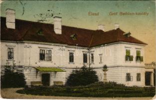 Élesd, Alesd; Gróf Bethlen kastély / castle (fa)